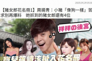 娱乐圈吃瓜帮主是谁啊小说